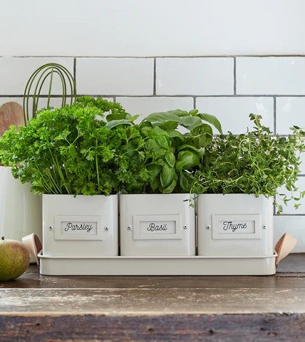 Tater's Corner Herb Pots Tray